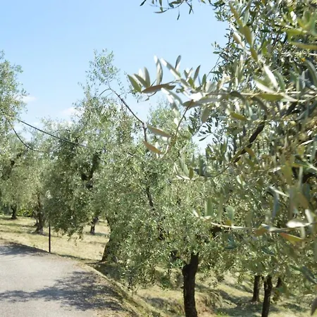 Il Podere Di Tacito Bed & Breakfast Montecatini Terme